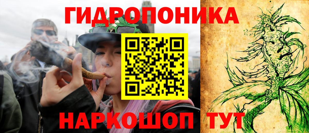 Конопля гибрид Кимры